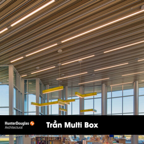 tran multi box